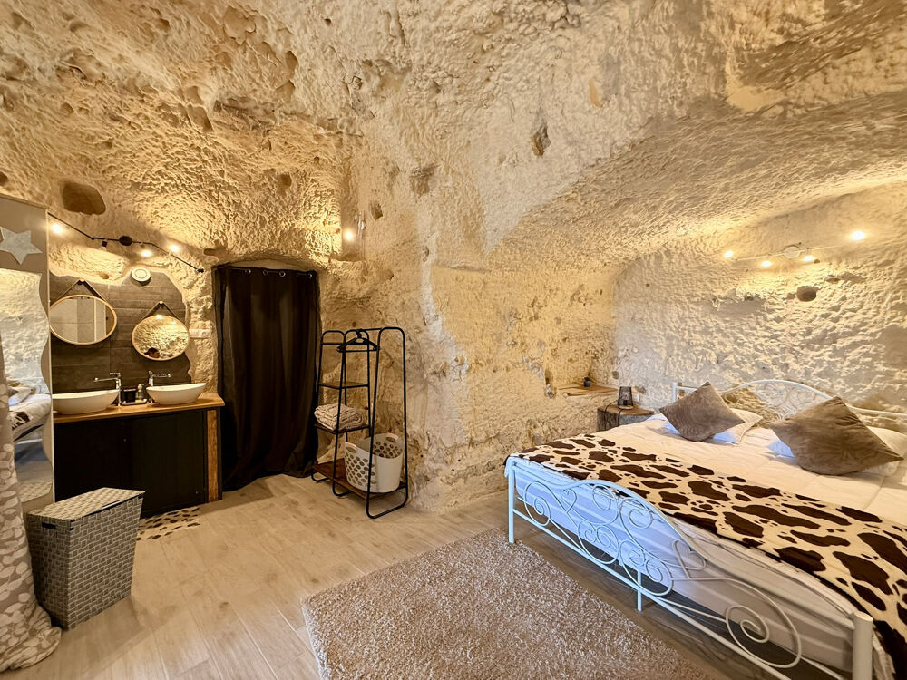 � vendre  Propri�t�/ch�teau Vend�me (41100)