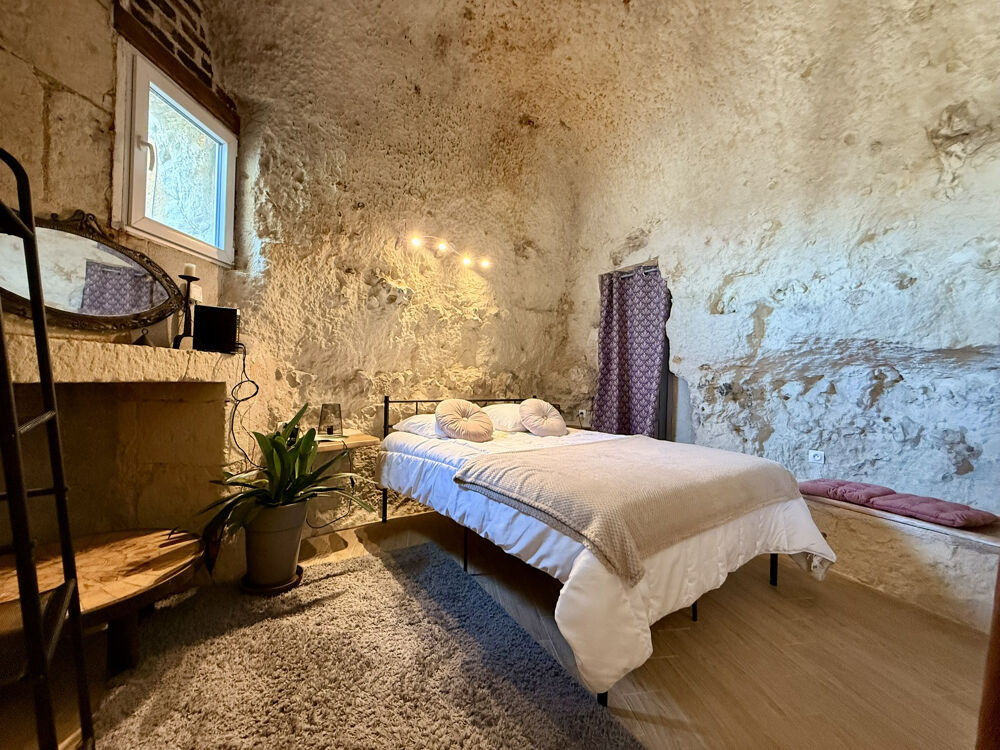 � vendre  Propri�t�/ch�teau Vend�me (41100)