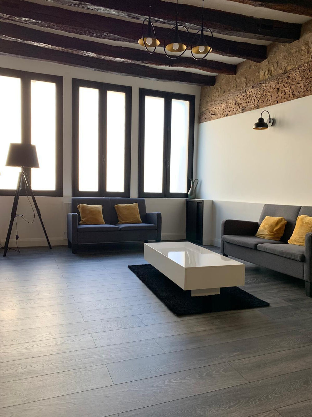 Vente Maison ENSEMBLE IMMOBILIER DE CARACTERE - A FORT POTENTIEL, SECTEUR LUNAY Vendome