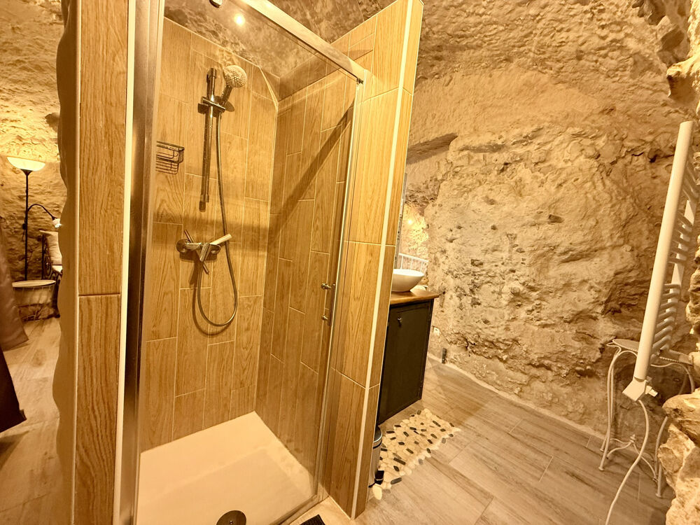 � vendre  Propri�t�/ch�teau Vend�me (41100)