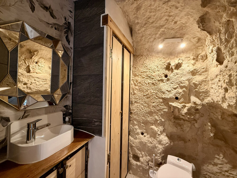 � vendre  Propri�t�/ch�teau Vend�me (41100)