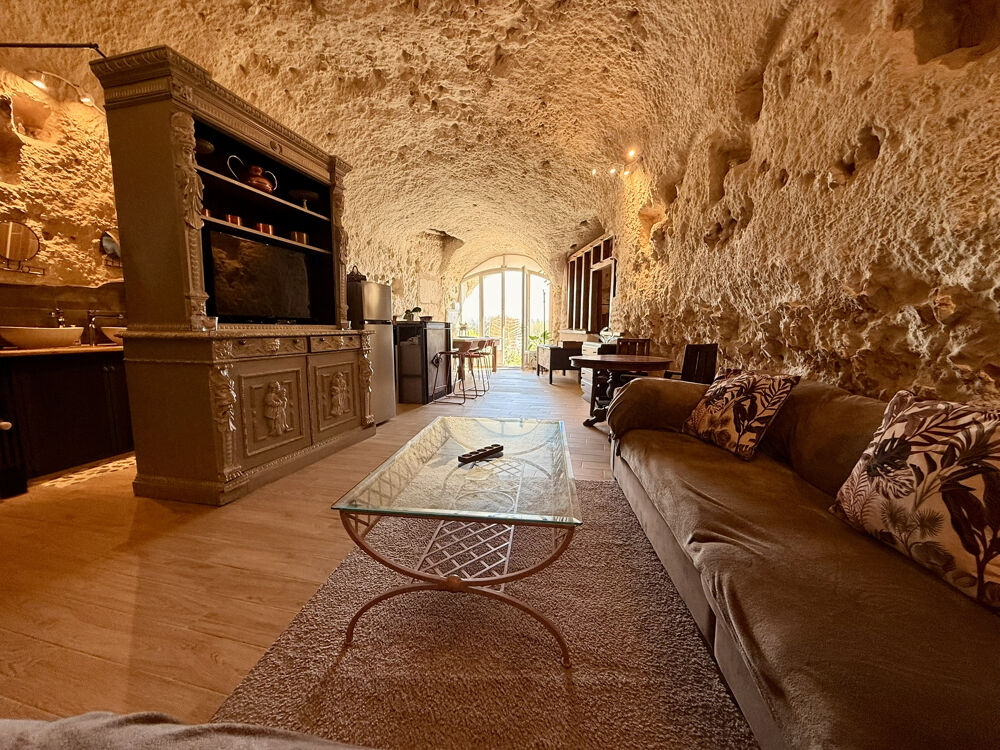 � vendre  Propri�t�/ch�teau Vend�me (41100)