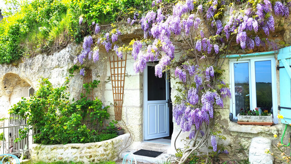 � vendre  Propri�t�/ch�teau Vend�me (41100)