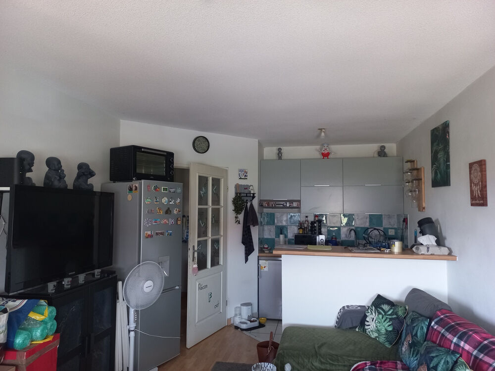 Location Appartement 31270 FROUZINS: Appartement T2 à louer Frouzins