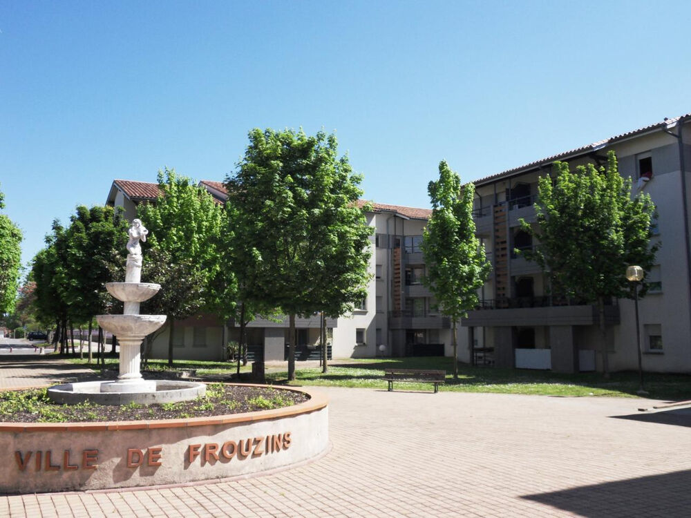 Location Appartement Centre FROUZINS: Appt T1 Frouzins