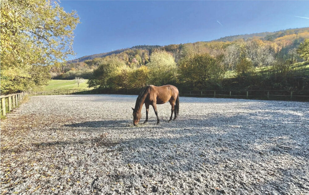 � vendre  Propri�t�/ch�teau Saint-�tienne-de-Crossey (38960)