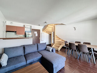  Duplex/triplex � vendre 3 pi�ces 55 m�