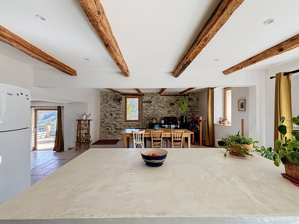 à vendre  Maison Les Thuiles (04400)