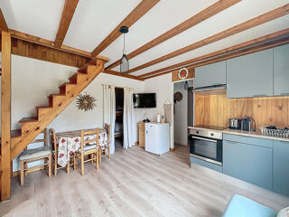  Chalet � vendre 2 pi�ces 26 m�
