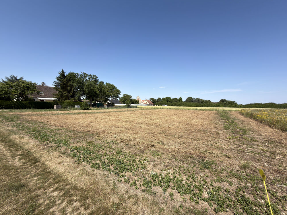 Vente Terrain TERRAIN A BATIR - SAINVILLE Chatenay