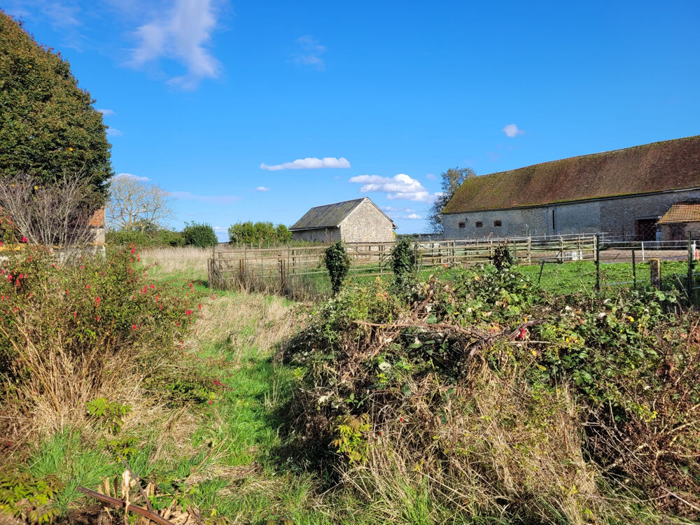 Vente Terrain TERRAIN CONSTRUCTIBLE - BEVILLE LE COMTE Beville le comte