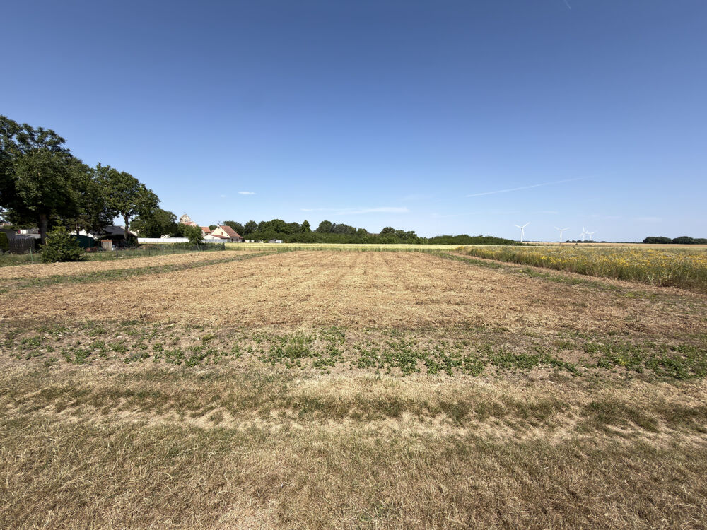 Vente Terrain TERRAIN A BATIR - SAINVILLE Chatenay