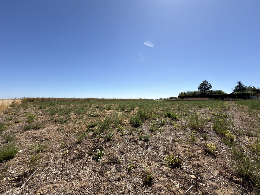 Vente Terrain TERRAIN A BATIR - SAINVILLE Chatenay