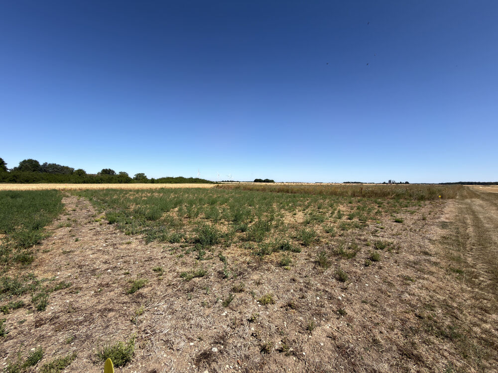 Vente Terrain TERRAIN A BATIR - SAINVILLE Chatenay
