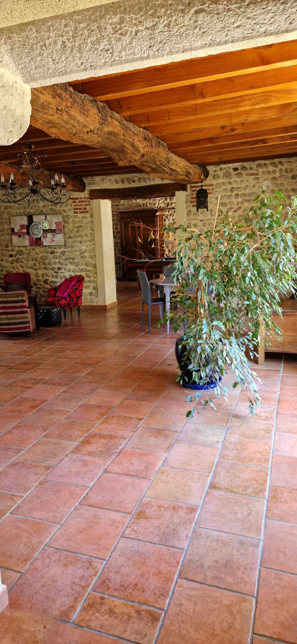 � vendre  Propri�t�/ch�teau Chazey-sur-Ain (01150)