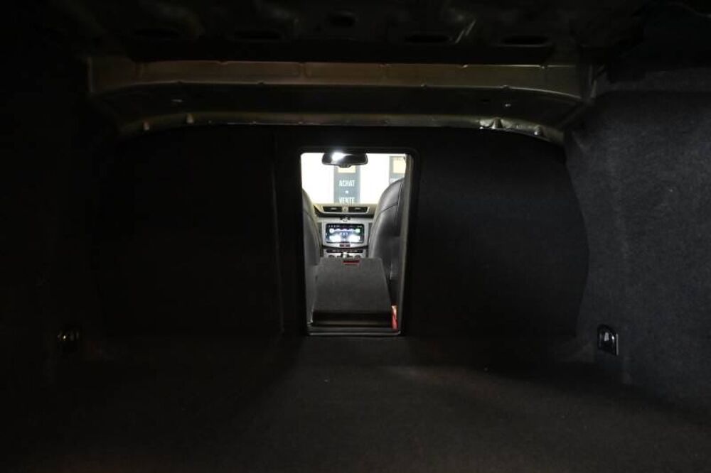 COCCINELLE II 2.0 TDI 177 FAP BlueMotion Technology Carat Edition DSG6 RLi 2014 occasion 72650 Saint-Saturnin