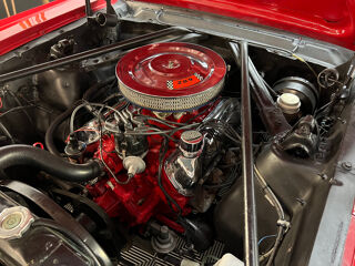 Mustang 289 CI 1965 occasion 27120 PACY-SUR-EURE