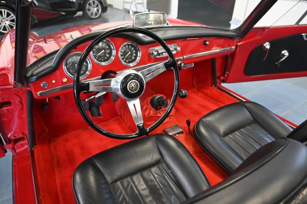 Spider Giulia spider 1963 1963 occasion 72650 Saint-Saturnin