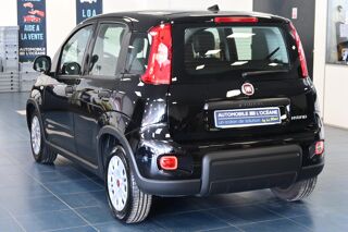Panda 1.0 70 ch Hybrid BSG S/S 2024 occasion 72650 Saint-Saturnin