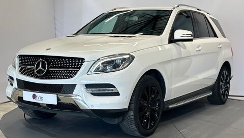 Annonce voiture Mercedes Classe M 17490 