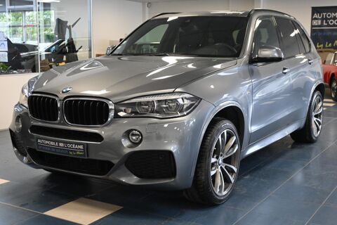 BMW X5 xDrive40d 313 ch M Sport A 2014 occasion Saint-Saturnin 72650
