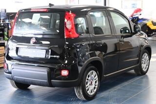 Panda 1.0 70 ch Hybrid BSG S/S 2024 occasion 72650 Saint-Saturnin