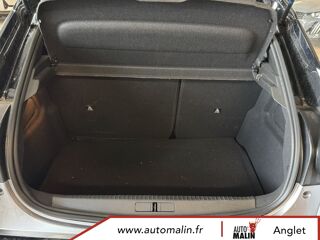 Ypsilon 1.2 Ibrida 100ch eDCT6 LX 2025 occasion 64600 Anglet