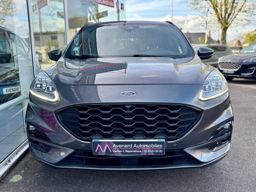 Kuga 2.0 EcoBlue 150 mHEV S&S BVM6 ST-Line X 2020 occasion 44880 Sautron