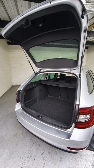 Octavia 1.0 TSI 116 ch Business 2020 occasion 59240 Dunkerque