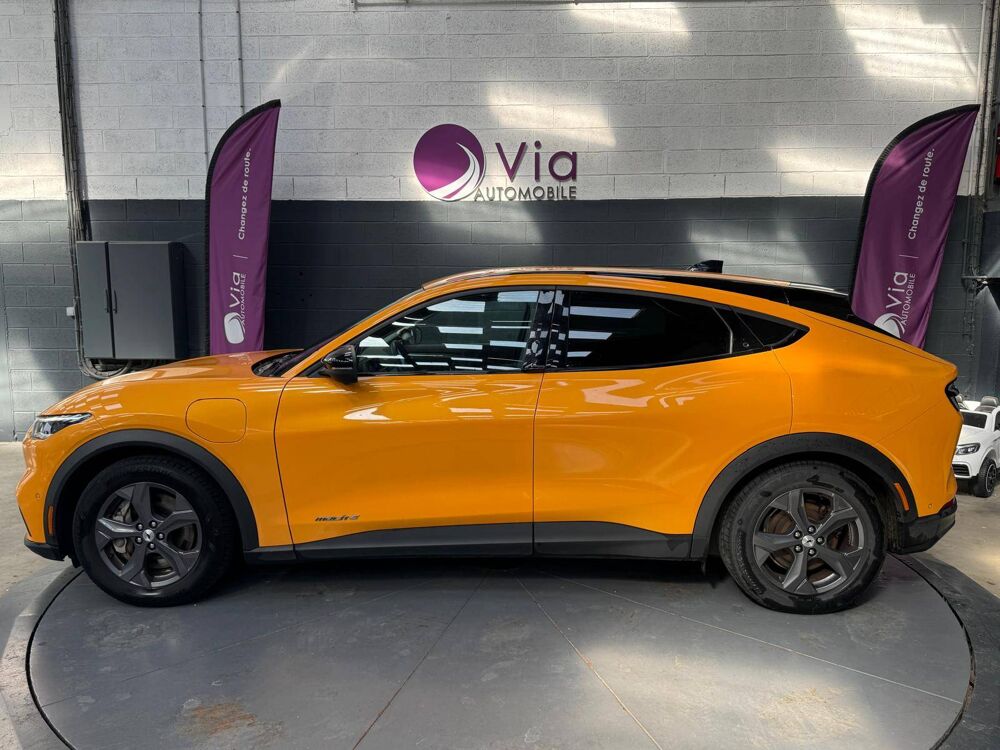 Mustang Standard Range 76 kWh 269 ch 1&deg;Main 2023 occasion 62230 Outreau