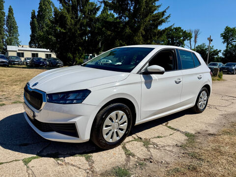 Annonce voiture Skoda Fabia 10990 €