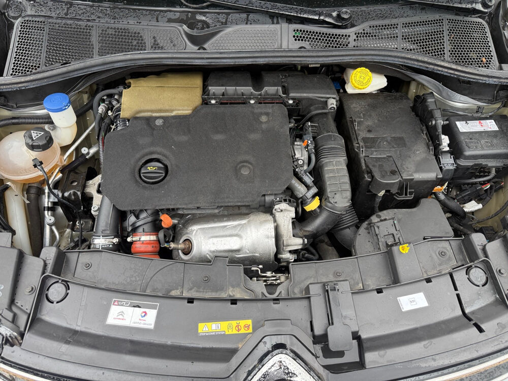 C4 cactus C4 Cactus BlueHDi 100 S&S BVM6 Feel Business 2020 occasion 27000 &Eacute;vreux