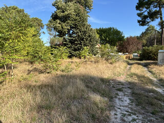  Terrain � vendre 10000 m�