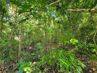  Terrain � vendre 18170 m�