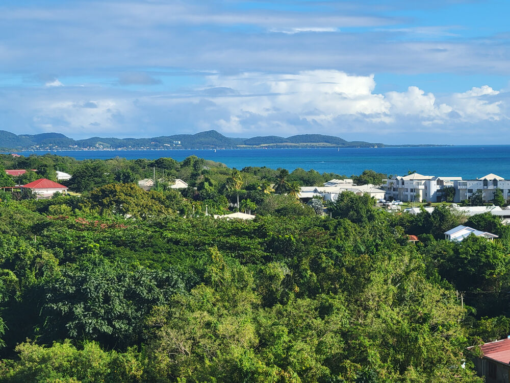 Vente Appartement Sainte Luce : Appartement T3 avec vue mer Ste luce