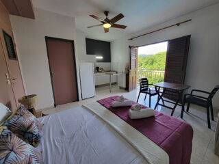  Immeuble � vendre 15 + pi�ces 373 m�