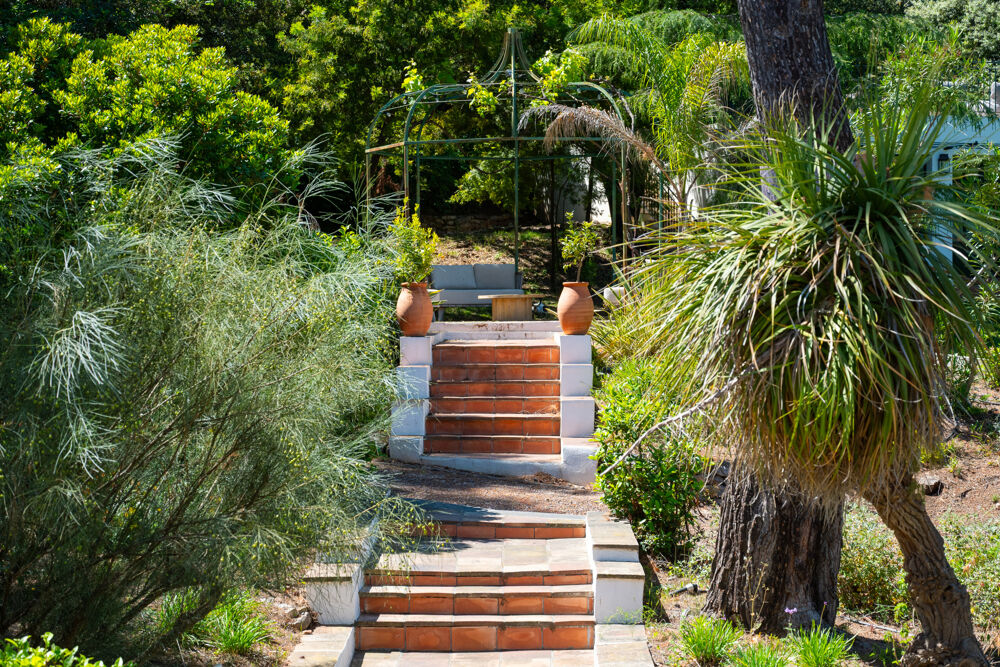 � vendre  Maison Hy�res (83400)