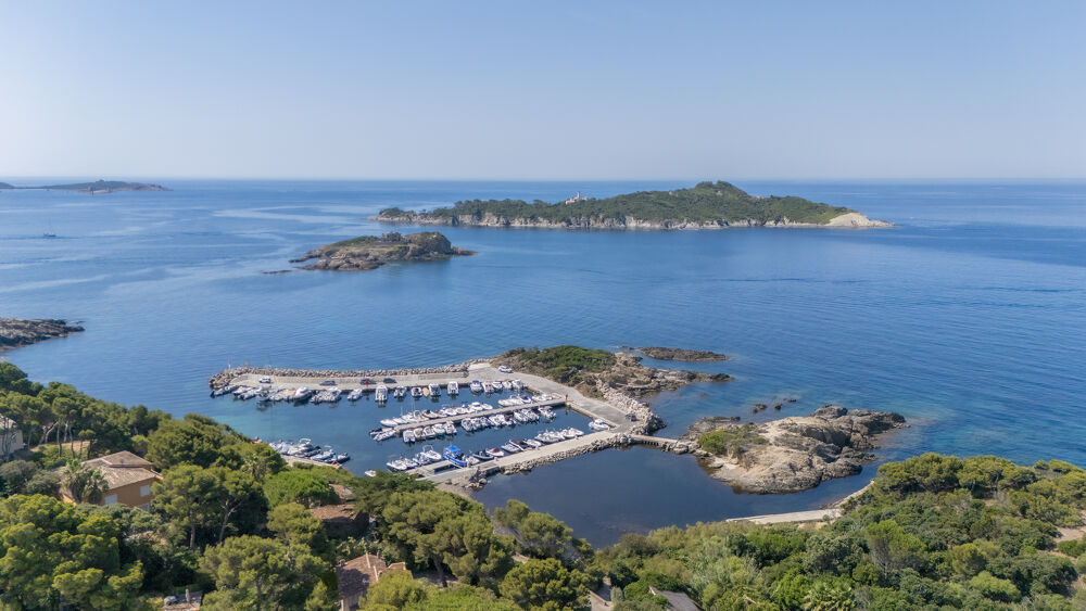 Vente Maison PROPRIETE GIENS 5000m2 deux maisons à 250m2 de la mer Hyères
