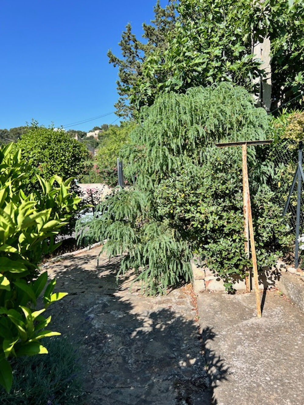 Vente Maison HYERES CENTRE VILLE CHARMANTE VILLA DE PLAIN PIED SUR 563M2 DE TERRAIN ARBORE Hyeres