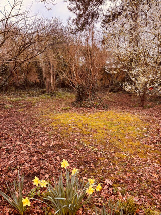  Terrain � vendre 475 m�