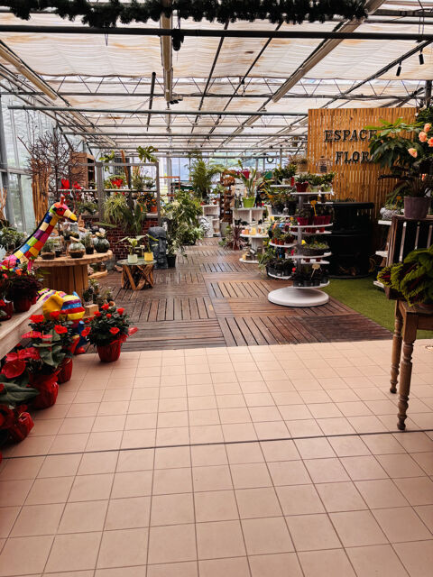 FONDS DE COMMERCE FLEURISTE & JARDINERIE 1400m2 110000 51350 Cormontreuil