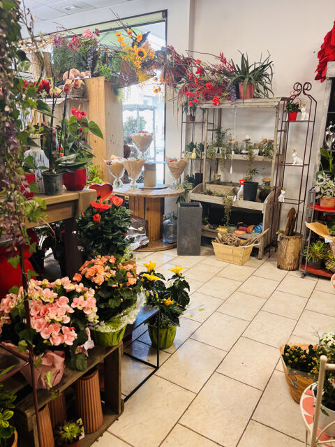   FONDS DE COMMERCE FLEURISTE 120m2 