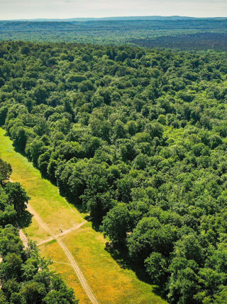  Terrain � vendre 35556 m� Prouilly