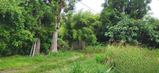  Terrain  vendre 1293 m