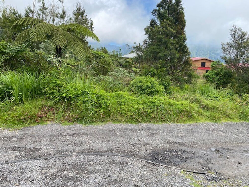 Vente Terrain TERRAIN CONSTRUCTIBLE PLAINE DES PALMISTES La plaine des palmistes