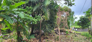  Terrain � vendre 880 m� Ste anne