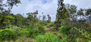  Terrain à vendre 750 m²