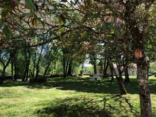  Propri�t�/ch�teau � vendre 15 + pi�ces 1000 m�