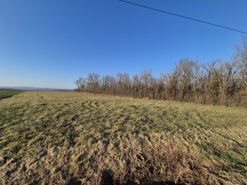 Vente Terrain CAUSSADE : TERRAIN AGRICOLE D'ENVIRON 4312M2 Caussade