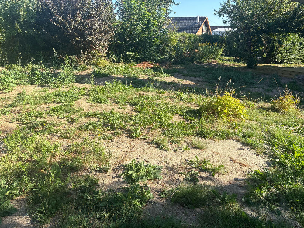 à vendre  Maison Groffliers (62600)